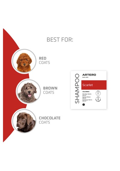 Artero Scarlet Poodle Irkına Özel Renk Arttırıcı Şampuan 300 Ml