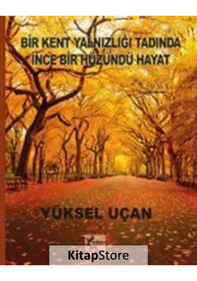 Bir Kent Yalnızlığı Tadında İnce Bir Hüzündü Hayat - Yüksel Uçan - Gelişim Sanat Yayınları