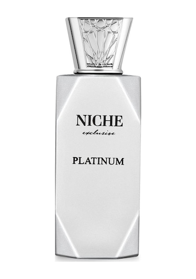 Niche Exclusive Platinum Edp 100 Ml Erkek Parfüm Aromatik