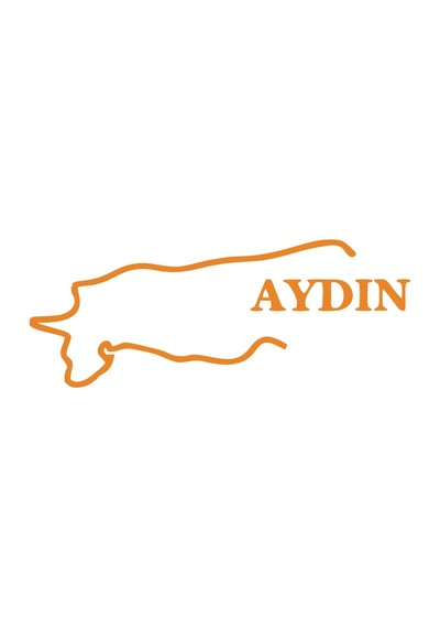 Aydın Harita Araba Sticker 17x17 Cm Turuncu