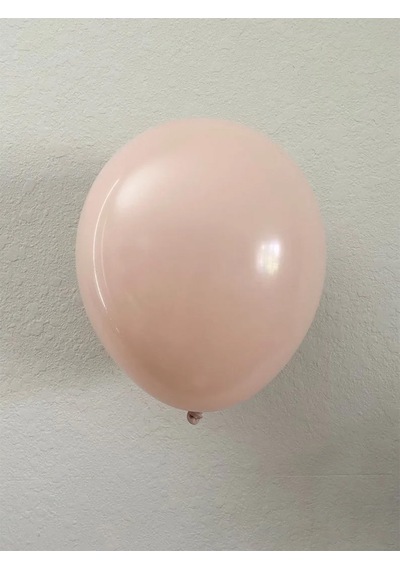 Retro Pink Blush Pembe Pudra Pastel Balon 5 Li