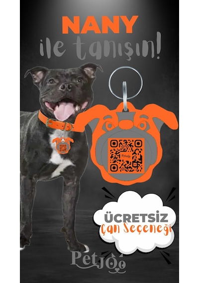 Petjoo 17.Nany Gri-Turuncu Qr'lı Köpek Künyesi