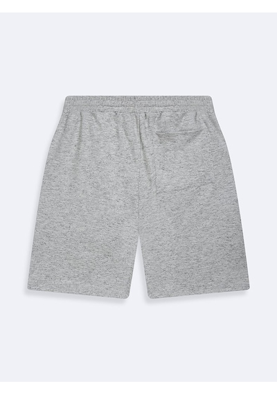 LTB Varsity Baskılı Örme Gri Şort