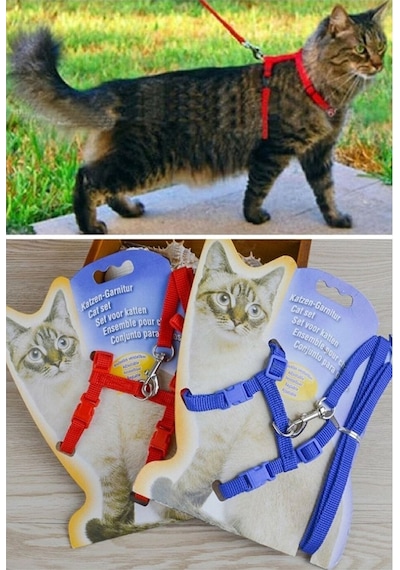 Ayarlanabilir Renkli Kedi Göğüs Tasması 120cm