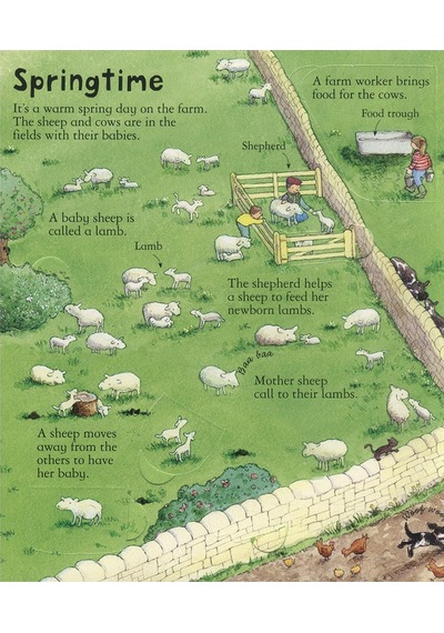 Look Inside A Farm - Usborne