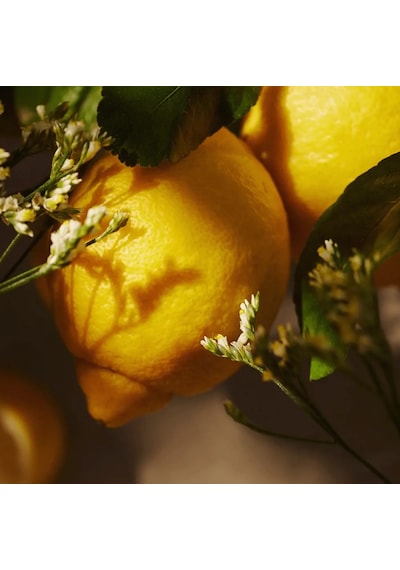 Essense & Co. Limon Ve Mine Çiçeği Özlü El Ve Vücut Jeli Yeniden Dolum Paketi Limon