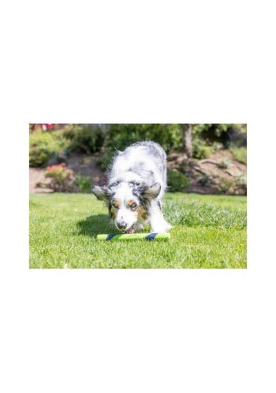 Sniff Fetch Stick Kokulu Köpek Oyuncağı Fıstık Ezmesi Aromalı