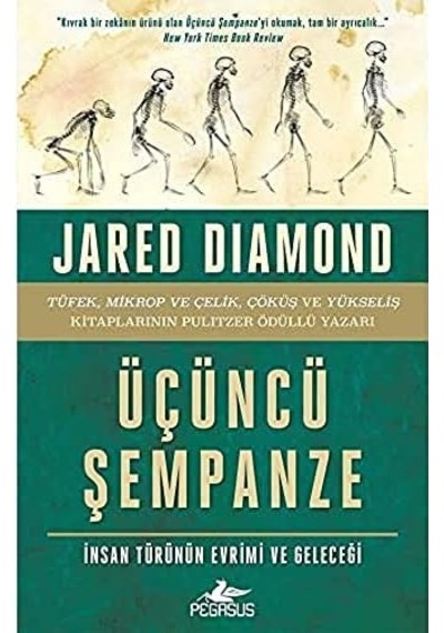 Üçüncü Şempanze: İnsan Türünün Evrimi Ve Geleceği