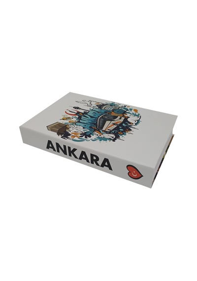 2026-751 Ankara