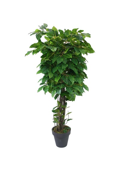 Yapay Mango Ağacı Yeşil 170 cm