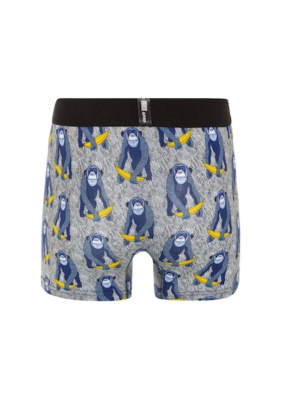 Farm Animals Monkey Banana Bue Desenli Boxer Çok Renkli