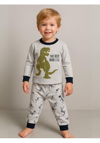 Zekids Erkek Çocuk Dinozor Baskılı Uzun Kollu Pijama Takımı-16047 Grı
