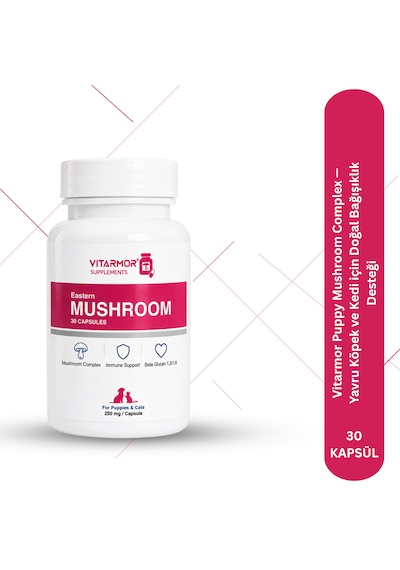 Vitarmor Puppy Mushroom Complex Yavru Köpek Ve Kedi İçin Doğal Bağışıklık Desteği
