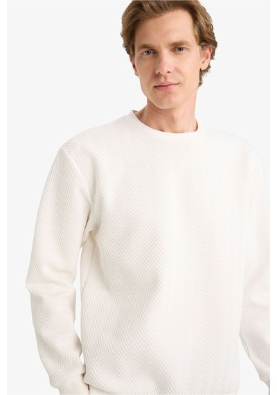 Defacto Regular Fit Bisiklet Yaka Sweatshirt F9854ax26spwt32 Beyaz-wt32