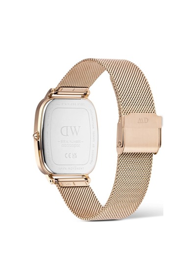 Daniel Wellington Dw00600817 Erkek Kol Saati Diğer