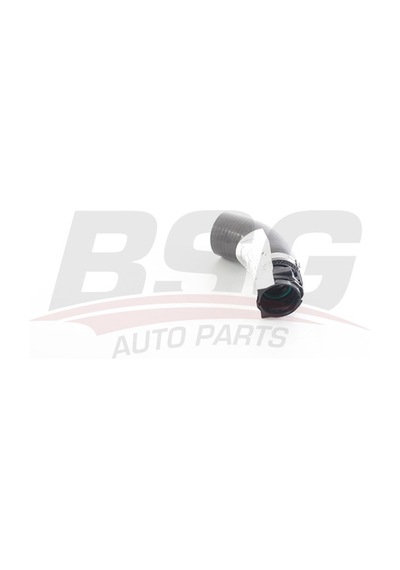 Bsg Turbo Hortumu Plastık Boru Harıc Kucuk Hortum - Clıo Iv/captur/logan Mcv/sandero 12-