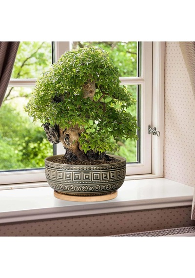Tr İç Mekan Bitkileri İçin 20,5 Cm Seramik Sukulent Saksıları Yuvarlak Sığ Bonsai Saksı Drenaj Ve Bambu Tabağı Genel
