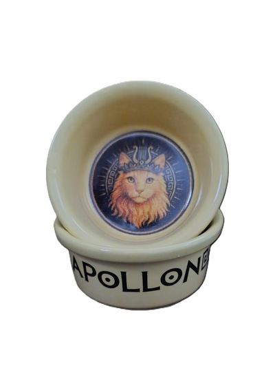 Raccoon Olimpos Serisi Apollon Seramik Mama Ve Su Kabı 300ml