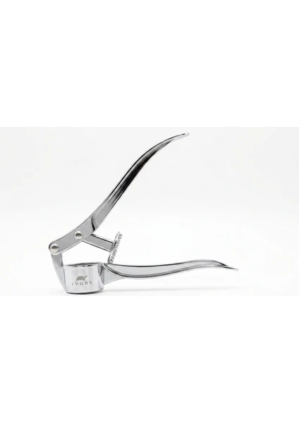Metalik Sarımsak Ezeceği Ergonomik Tasarım İle Kolay Kullanım Sağlayan Paslanmaz Çelik Metal