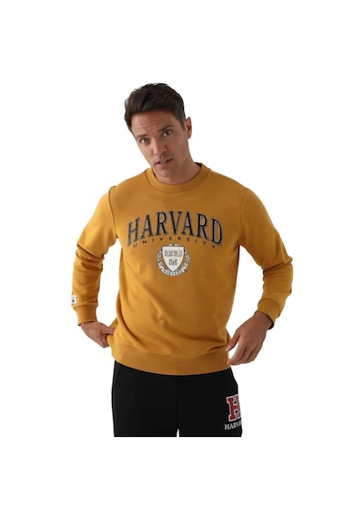 Harvard Erkek Sweatshirt Hardal Hardal
