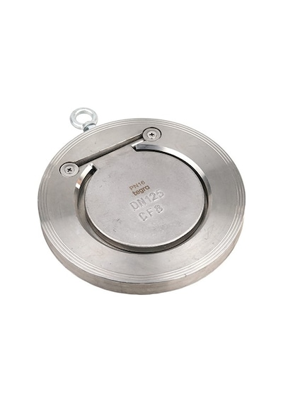 Dn150 Paslanmaz Wafer Çekvalf 304