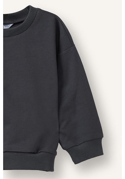 Defacto %100 Pamuk Regular Fıt Bisiklet Yaka Basic 2li Sweatshirt Set Erkek Bebek H8400a526auar31 Antrasit-ar31