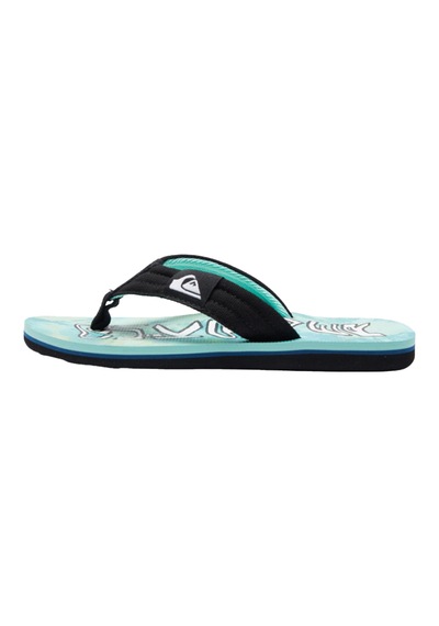 Quıksılver Quiksilver Molokai Layback Iı Youth Erkek Çocuk Yeşil Terlik Xgby