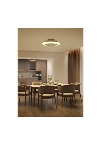 Philips Amigo Fanlı Tavan Lambası 42w Vantilatör + 20 W Aydınlatma Gücü Simli Tasarım