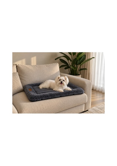 Kedi Ve Köpek Yer Minderi Ve Matı Üst Kalite Boncuk Elyaf Kaydırmaz Taban Kedi Ve Köpek Yatağı Gri 1715597620 Kedi Ve Köpek Yer Minderi Ve Matı Üst Kalite Boncuk Elyaf Kaydırmaz Taban Kedi Ve Köpek Yatağı Gri 1715597620