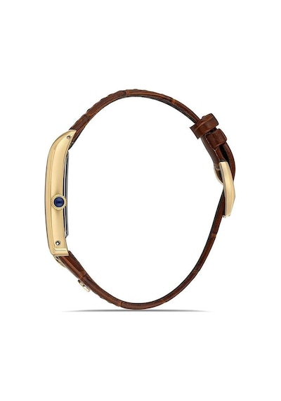Momentus Cm365g-02kg Erkek Kol Saati Altın