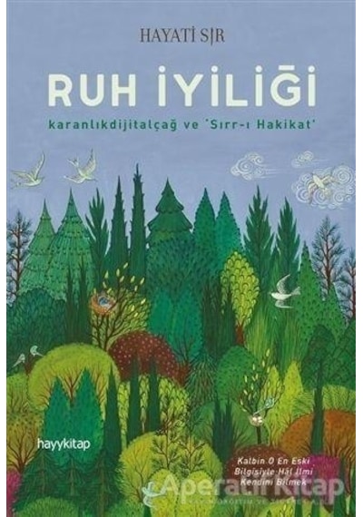 Ruh İyiliği  - Hayati Sır  - Hayykitap