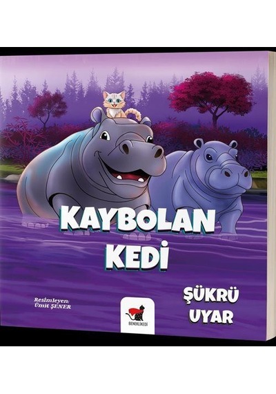 Kaybolan Kedi / Şükrü Uyar