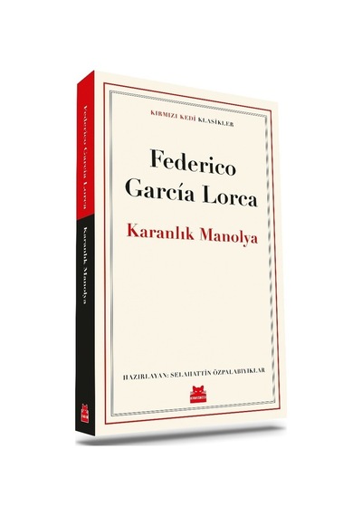 Karanlık Manolya: Gizemli Bir Roman Yolculuğu