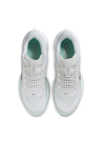 Nike Pegasus Premium Yürüyüş Ve Kadın Koşu Ayakkabısı Playful Hq2593-103 Pasha Giyim Çok Renkli