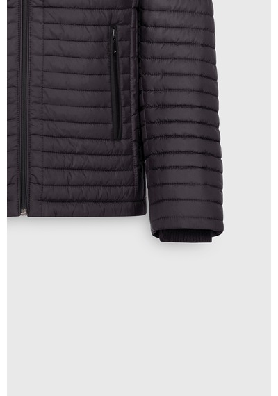 AC&Co / Altınyıldız Classics Erkek Sıyah Standart Fit Normal Kesim Kapitone Desenli Dik Yaka Fermuarlı Yan Cep Şişme Mont Siyah AC&Co / Altınyıldız Classics Erkek Sıyah Standart Fit Normal Kesim Kapitone Desenli Dik Yaka Fermuarlı Yan Cep Şişme Mont Siyah