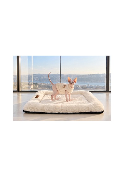 Kedi Ve Köpek Yer Minderi Ve Matı Üst Kalite Boncuk Elyaf Kaydırmaz Taban Kedi Ve Köpek Yatağı Beyaz 1715597129 Kedi Ve Köpek Yer Minderi Ve Matı Üst Kalite Boncuk Elyaf Kaydırmaz Taban Kedi Ve Köpek Yatağı Beyaz 1715597129