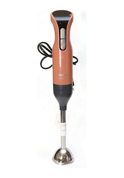 Arzum AR1017 Prostick 1000 W Çubuk Blender