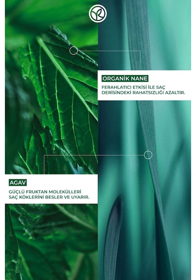 Yves Rocher Kepeğe Karşı Pelliculaire Yatıştırıcı Prebiyotik Tuzsuz & Vegan Şampuan 300 ML