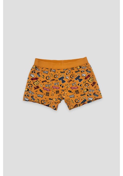 Defne Baby Erkek Çocuk Desenli Premium Pamuklu 2'li Boxer Seti Çok Renkli