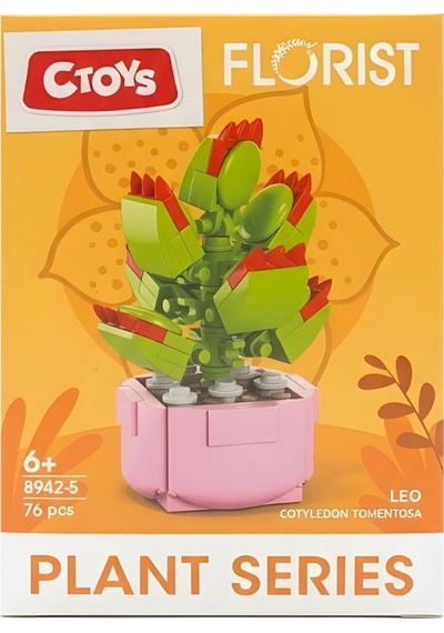 Ctoys Florist Burçlar Saksılı Bitki Yapım Seti Leo 8942 5