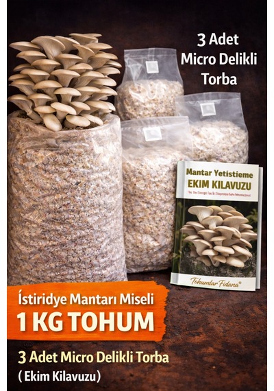 İstiridye Mantarı Miseli Tohumu Vakumlu 1 Kg Tohum 3 Adet Micro Delikli Torba Ekim Kılavuzu