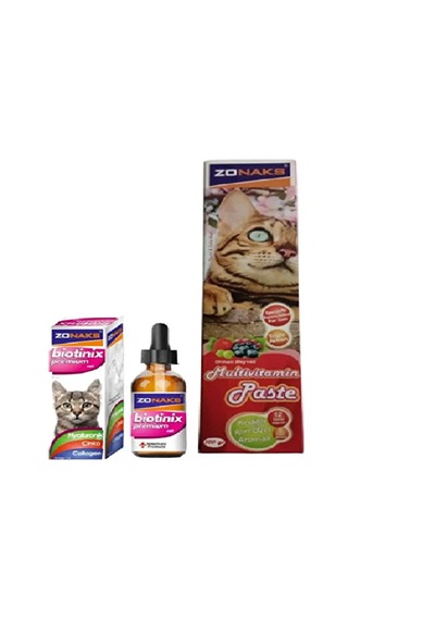 Biotinix Premium Cat 50 Ml Tüy Dökülmesine Son Verin Ve Multi Vitamin Pasta 100 Gr
