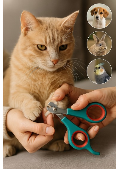 Kedi Köpek Tavşan Kuş Tırnak Makası Paslanmaz Çelik Ergonomik Sap Kaymaz Güvenli Kullanım