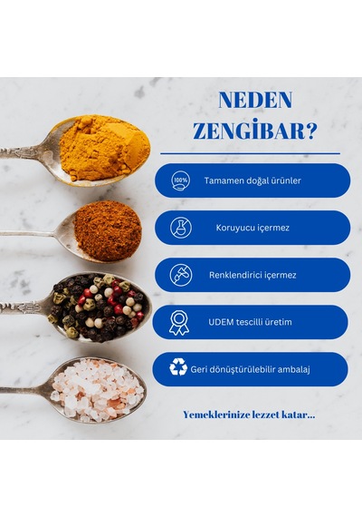 Zengibar Salata Baharatı 1 KG