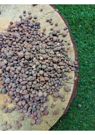 Asenya Kil Bilyesi 5 Lt 3-8 Mm Açık Kil Bilyesi Orkide Yetiştirme Ortamı Hidroponik Hidrokültür Toprağı 0