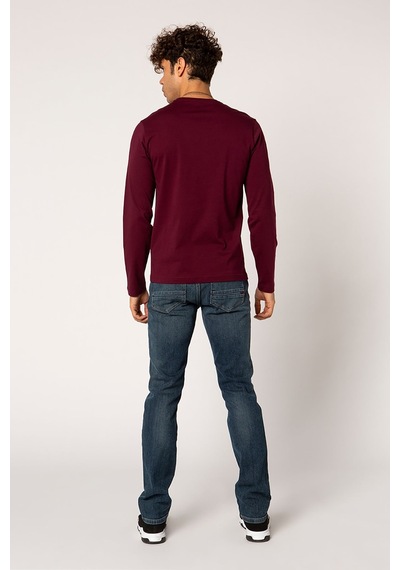 Vigoss Battal Erkek Sweatshırt B44221-03370 Mürdüm