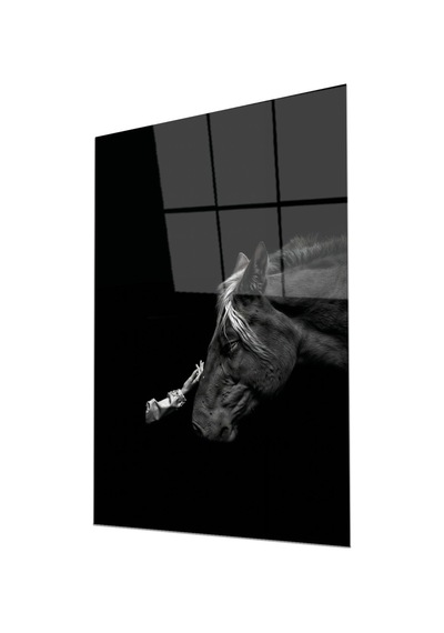 Siyah Beyaz At Ve İnsan Temalı Minimalist Cam Tablo Duygusal Modern Duvar Dekoru Portre Temalı Dekoratif Duvar Tablosu, Salon Ve Yatak Odası Dekoru,