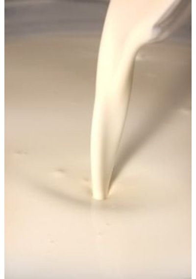 Endüstriyel Ayran Kültürü 10 Unite X 1 Adet