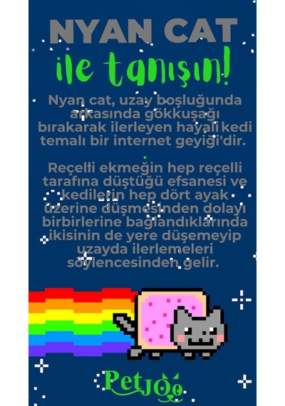 Petjoo 2.Nyan Cat Yeşil-Gri Qr'lı Kedi Künyesi