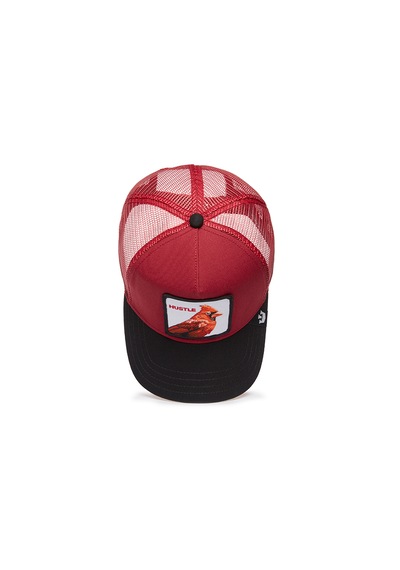 Goorin Bros. Cardinal Fan Kuş Figürlü 101-1990